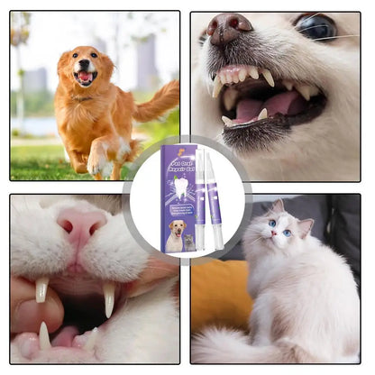 SmilePet - The care your pet truly deserves